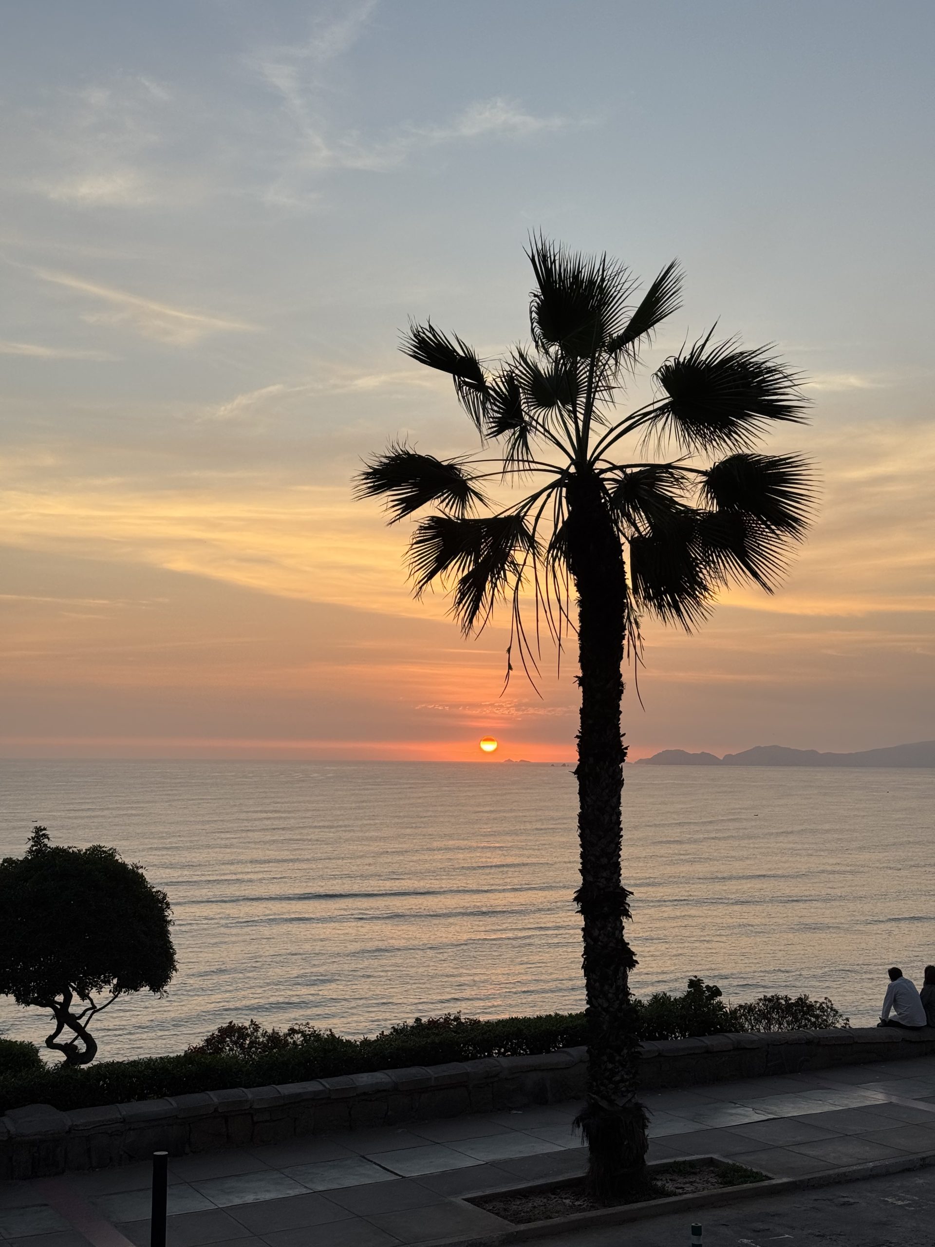 Palm tree silhouetted against the Pacific sunset in Barranco, Lima