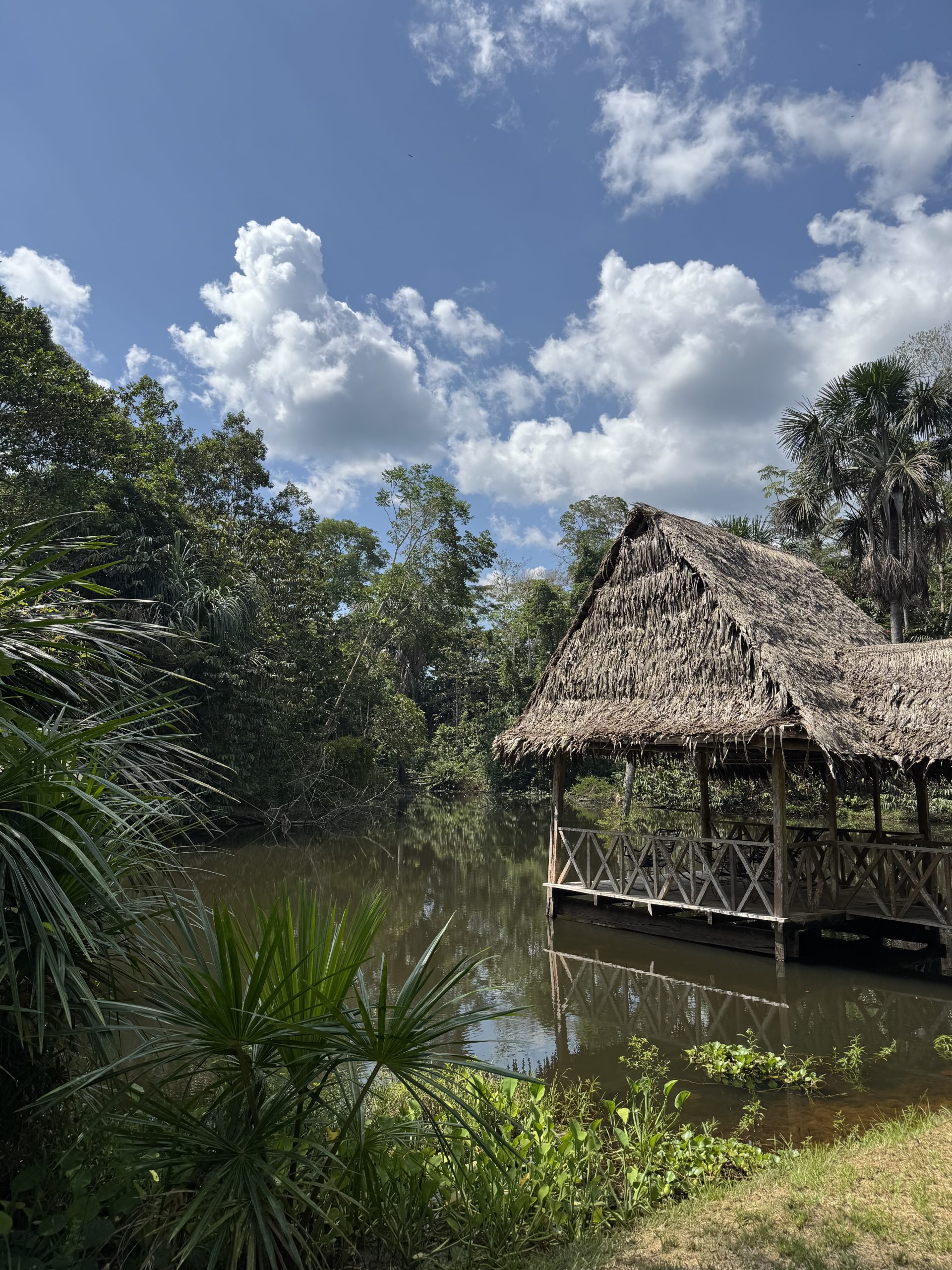 Thatched-roof Lake House beside a jungle pond at Blue Morpho retreat in Peru