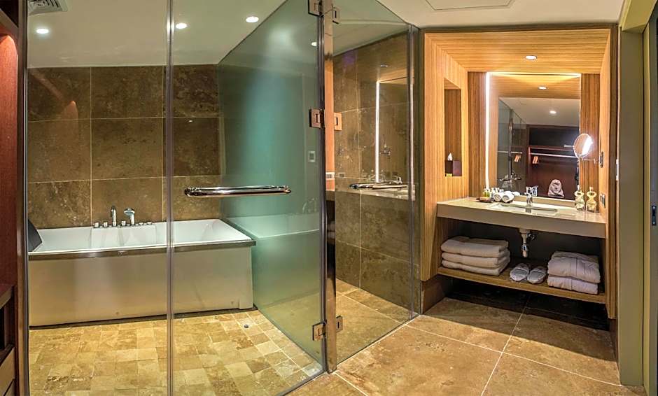 The Strangest Hotel Bathroom in Iquitos - Abby Kojola In Peru Glass-enclosed bathroom with a bathtub inside the shower wet area at the DoubleTree Iquitos